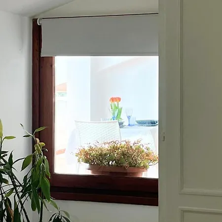 Apartman Nanni's House